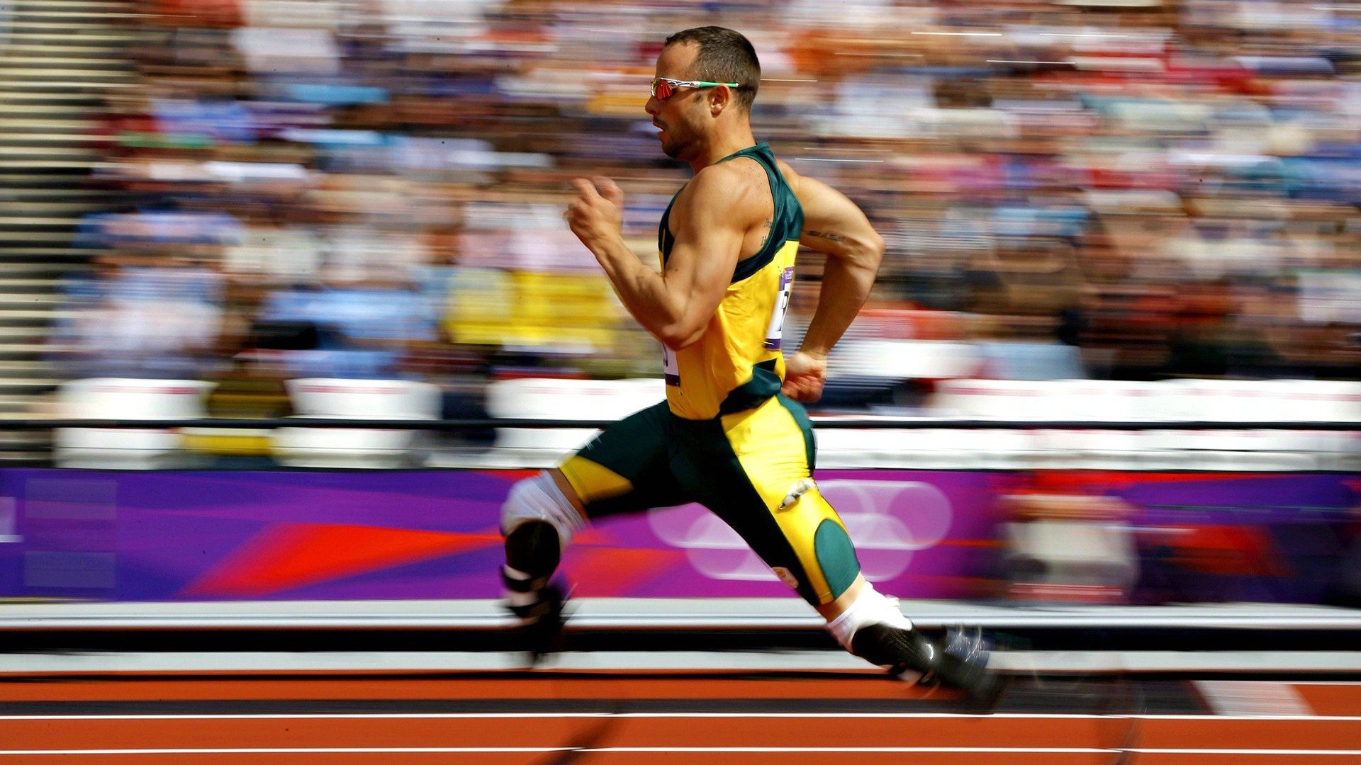 圣基茨和尼维斯举办灯光滑冰节,圣基茨和尼维斯馆